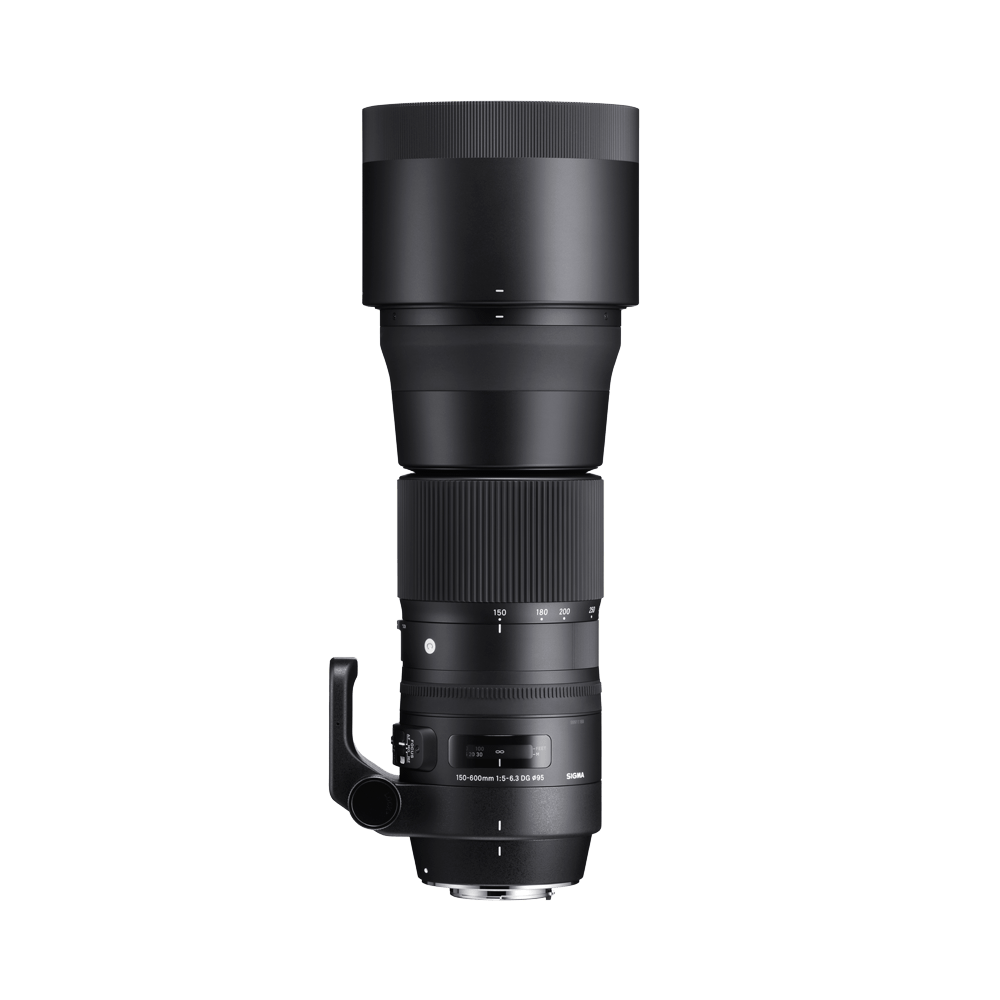CONTEMPORARY 150–600mm F5–6.3 DG OS HSM